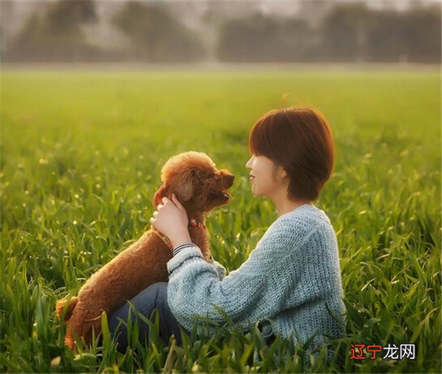 属狗农历几月出生最好 属狗的几月出生最好几时最好