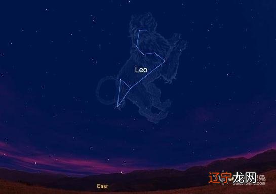 狮子座在几月 狮子座几月的