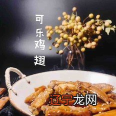 可乐鸡翅的做法-酱香味烧菜谱