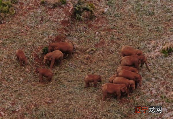 6月18日是什么日子好不好 6月18日是什么日子