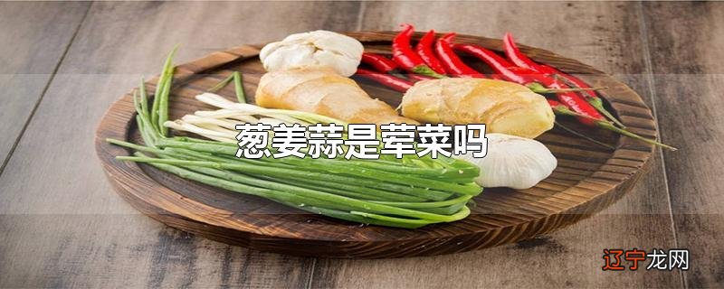 葱姜蒜是荤菜吗