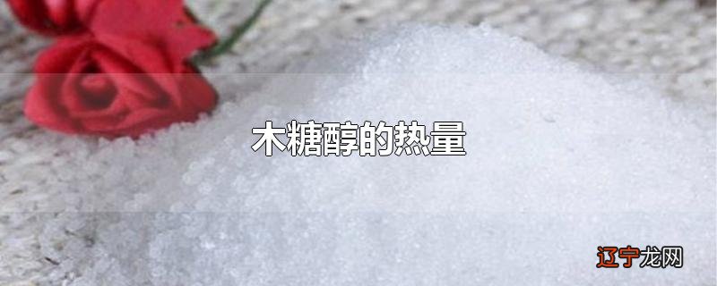 木糖醇的热量