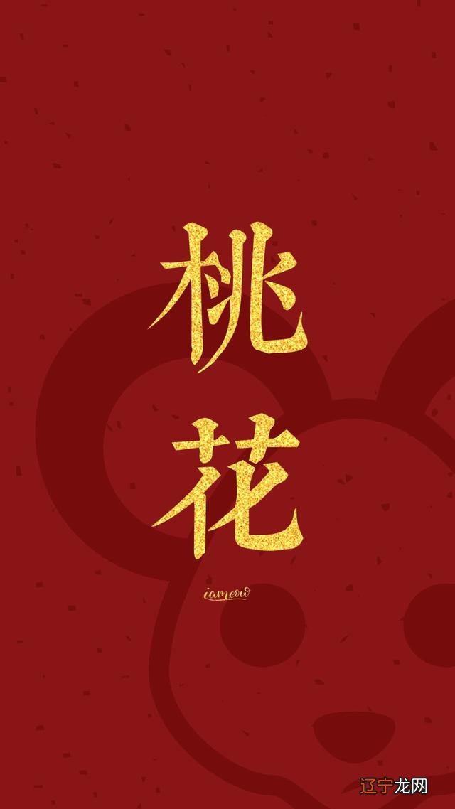 鼠年春节图片壁纸 鼠年春节图片