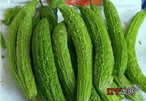 这些瓜，养生作用大，别忘了要多吃