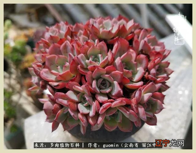 阴历六月六是什么日子 阴历11月15是什么日子