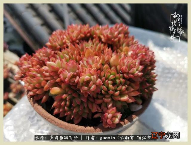 阴历六月六是什么日子 阴历11月15是什么日子