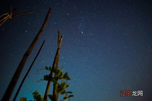 2020.11.13是什么日子 2020年4月13日是什么日子