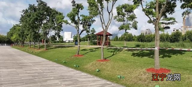 最新！上海迪士尼乐园、海昌海洋公园、东方体育中心等一些场所暂停开放