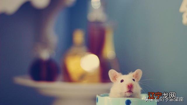 双鱼座和什么座最配做好朋友 双鱼座和什么座最配