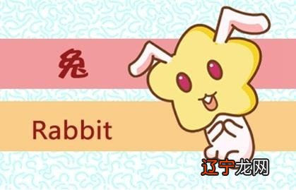 8.9-8.15 本周生肖兔运势