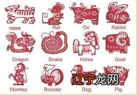 属马2022年运气如何 1990年属马31岁运气女