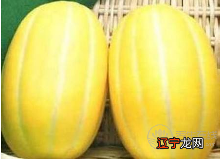 推荐六款瓜类食谱 消暑解渴高效瘦身