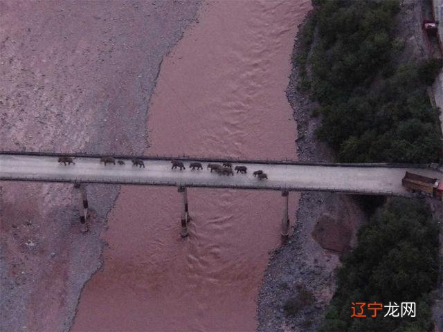 2020年3月21号是黄道吉日吗 2020年3月黄道吉日一览表提车