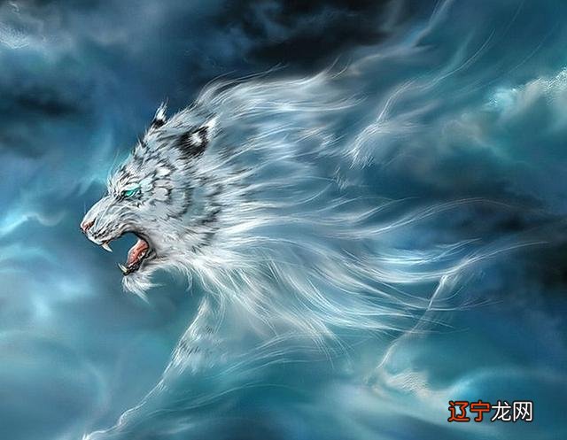 12星座的守护神兽-12星座的守护神兽战斗力排名