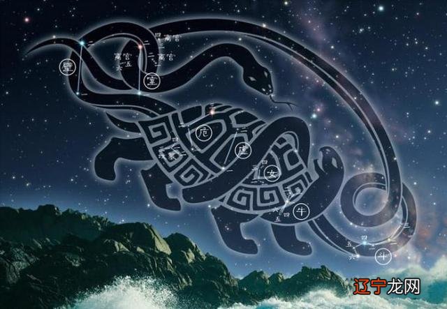 12星座的守护神兽-12星座的守护神兽战斗力排名