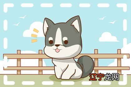 这几个生肖最旺家运，是财神的化身