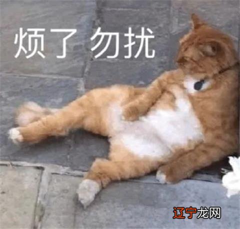 追女生每天聊天好吗?聊天的关键在于质量而不是频率