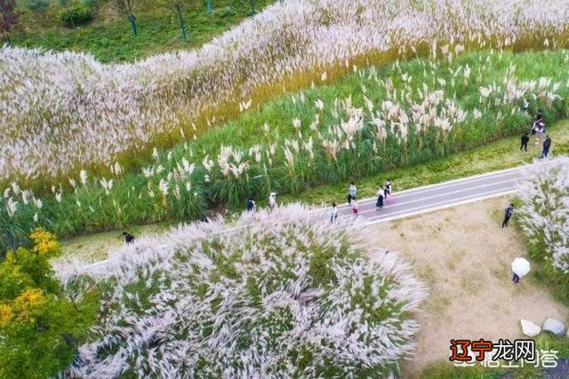 想移居汉中,汉中有哪些优点和缺点?