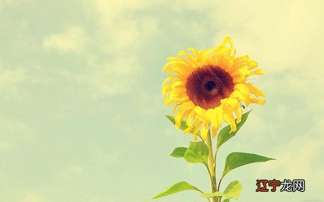 水瓶座女生性格脾气特点和缺点-水瓶座女生