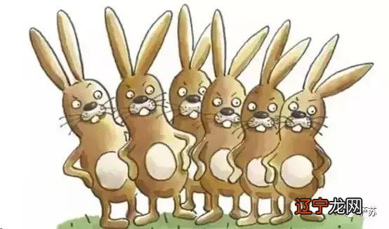 老萨皖南事变真相-皖南事变真相