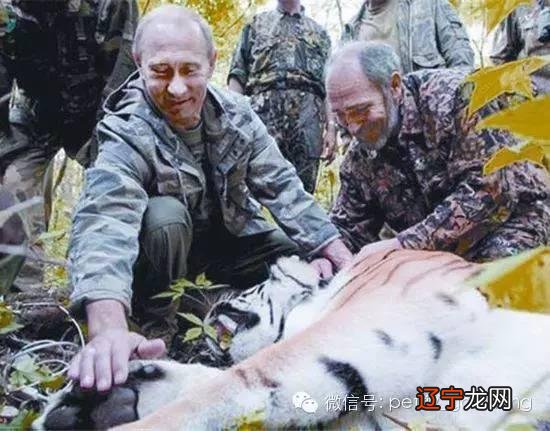 古兰经下载 古兰经末日预言