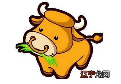 2021年属牛本命年能参加葬礼吗 会有什么不吉利的事情吗