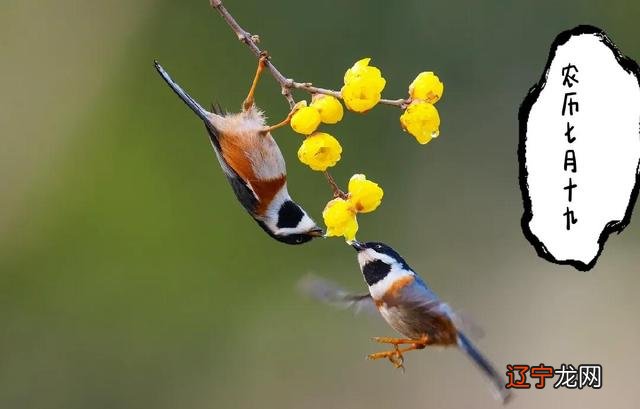 喜神方位2021年-喜神方位