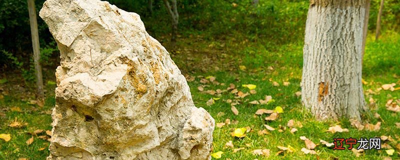 蛊的危害是什么