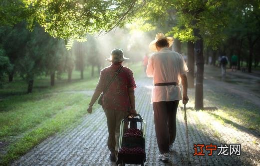 肝脏的调理与护养