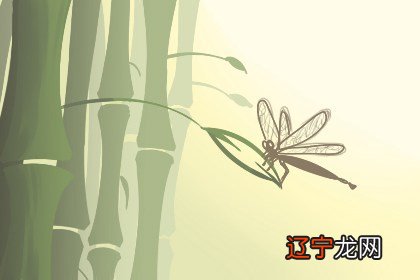 清明节的来历和风俗 此节日的习俗讲究