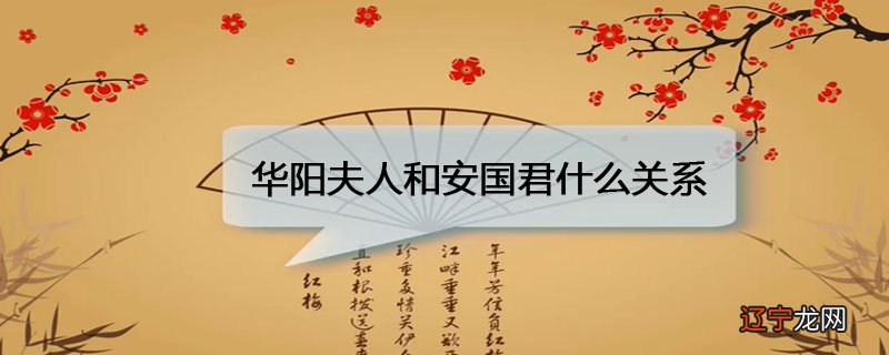 华阳夫人和安国君什么关系