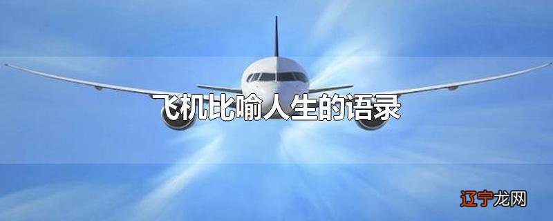飞机比喻人生的语录