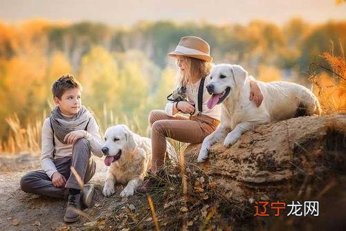 宠物也可能影响你的家居风水!