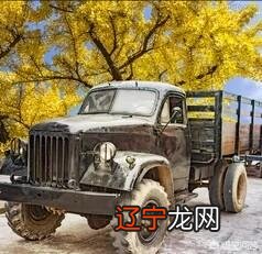 在军统和中统的争斗中,戴笠是怎么打倒徐恩曾的?