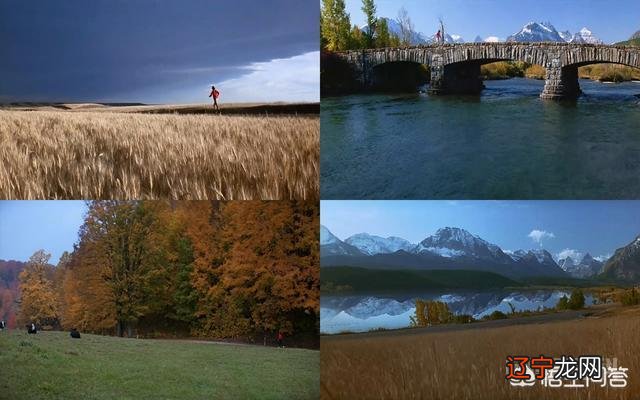 《阿甘正传》男主人公为什么要不停的跑？后来又为什么突然就不跑了？