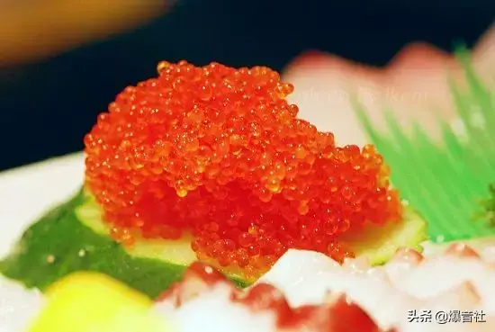 这些生殖器,你吃过哪些