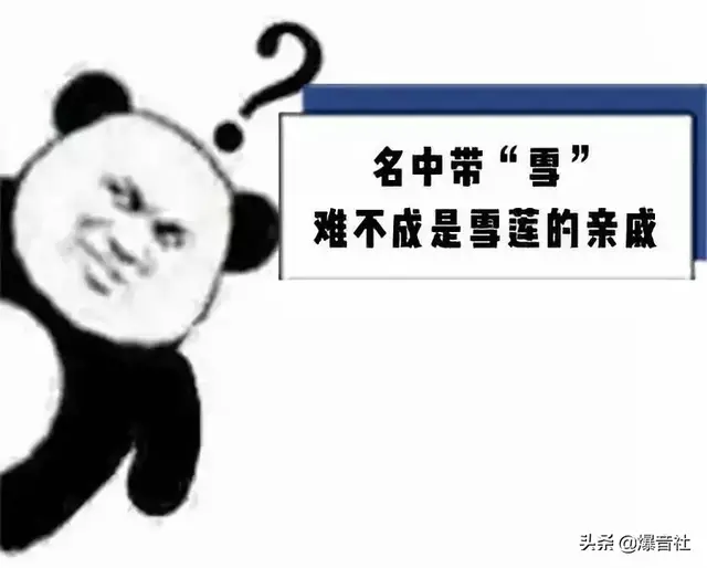 这些生殖器,你吃过哪些