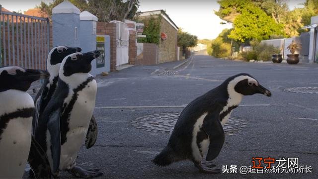 2021年世界末日被证实-2020年3月20世界末日被证实