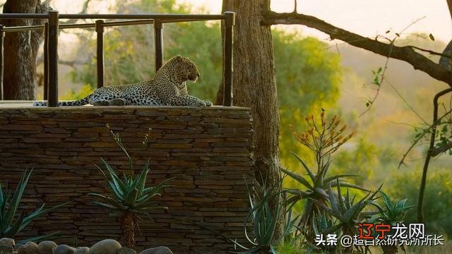 2021年世界末日被证实-2020年3月20世界末日被证实