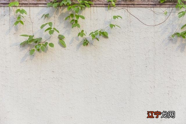 浮生若梦为欢几何的意思 浮生若梦的意思分别是