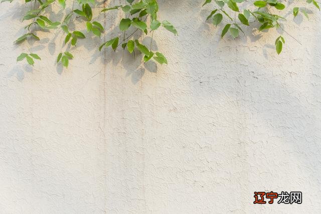 浮生若梦为欢几何的意思 浮生若梦的意思分别是