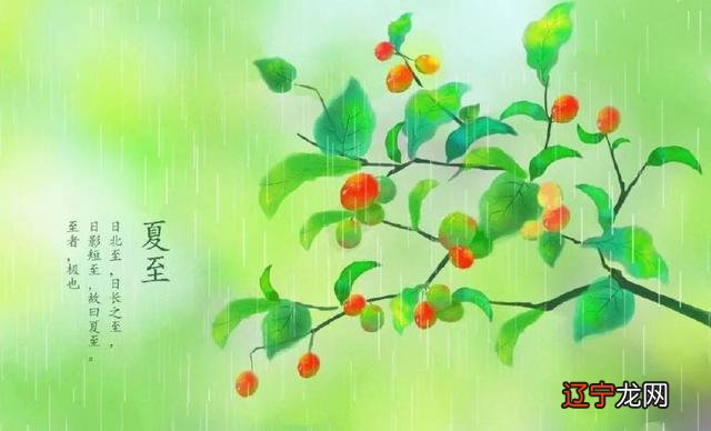 夏至精美诗句-夏的诗句唯美的诗句