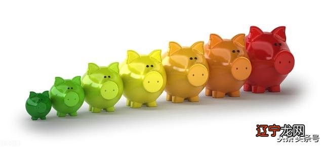 十二生肖都喜欢什么颜色？