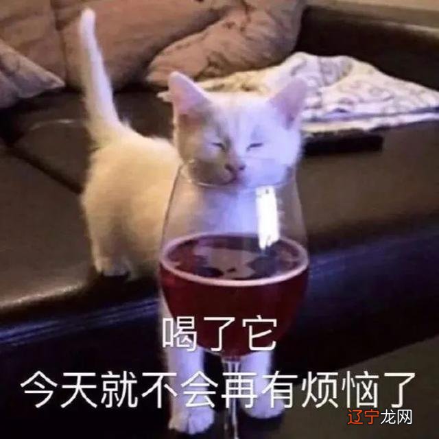 高级表白密码-表白数字密码暗语