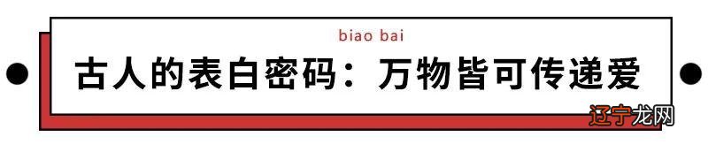 高级表白密码-表白数字密码暗语