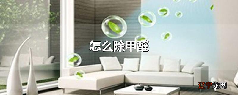 怎么除甲醛