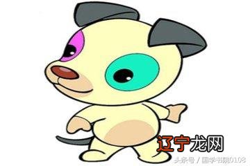 属相命格表 属相命运表