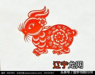 属相命格表 属相命运表