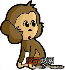 属相命格表 属相命运表