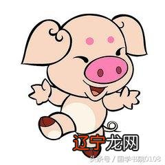 属相命格表 属相命运表